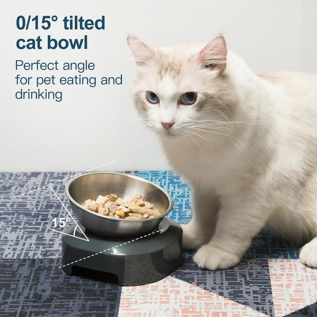 Adjustable Stainless Steel Cat Feeding Bowl Tilted Design Elevated Pet Food Dish Single Bowl Double Bowl Suitable for Cats and Small Pets