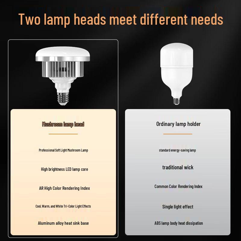 Goddess Girl Professional LED Lighting for Indoor Photography