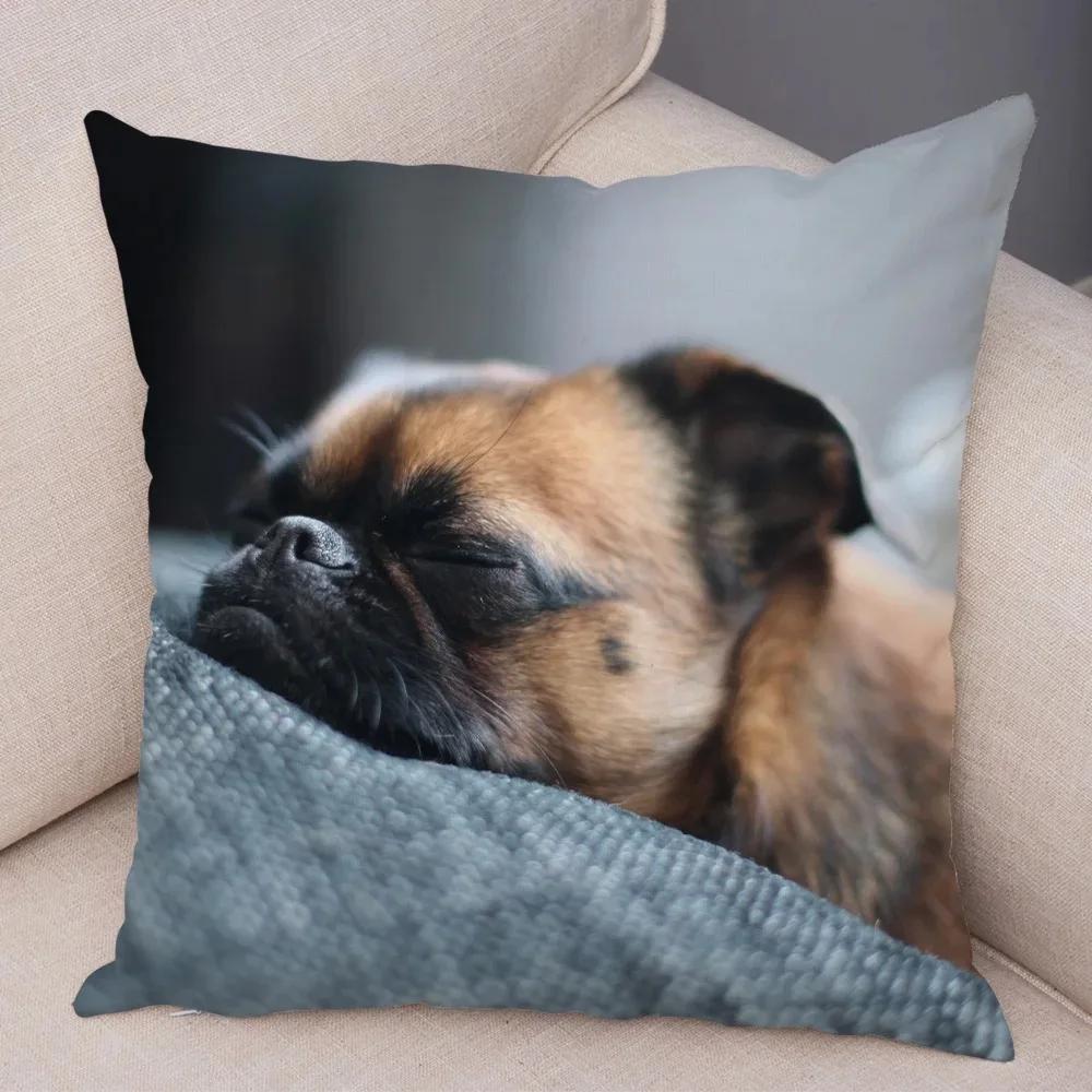 Soft and Cute Pug Series Double-sided Printed Decorative Pet Animal Pillowcases Suitable for Car Sofa Home Car Pillowcases
