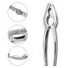 1 Set Stainless Steel Crab Fork Seafood Tools Lobster Cracker Forks Nut Cracker Shell Claw Lobster Shellers Crab Leg Cracker Kit