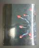 [USED] Rare Book: Kaden: Nagai Riichi and the Flower Traveler Collection III, Reference Book, Kado, Kyoei Printing