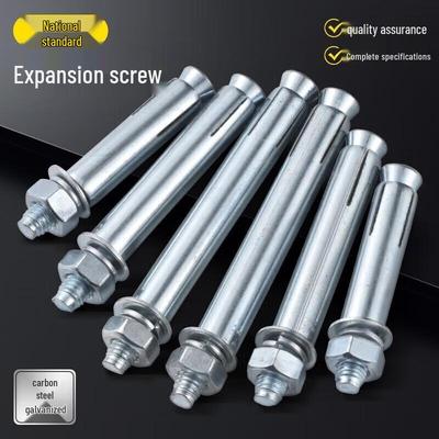 Zhan Li Hang M10x100 Galvanized Expansion Bolt