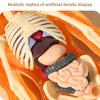 3D Human Body Torso Model For Kid, Anatomy, Skeleton, Removable, Simulation, Organ And Skeleton, Detachable Bone Body Models New