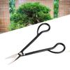 Bonsai Scissors, Premium Plated Steel   Handle Scissors with Ergonomic Non-Slip Handle for Small Branches and Leaves