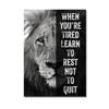 Lion Motivational Posters and Prints Inspirational Positive Quotes Animal Wall Art HD Pictures Canvas Painting Office Home Decor