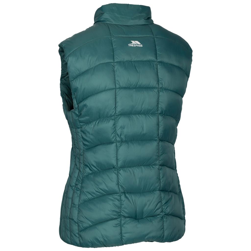 Womens/Ladies Ogbere Gilet