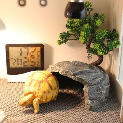 Reptielen – Reptielen terraria