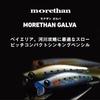 Daiwa Seabass Sinking Pencil Morethan Garba Lure