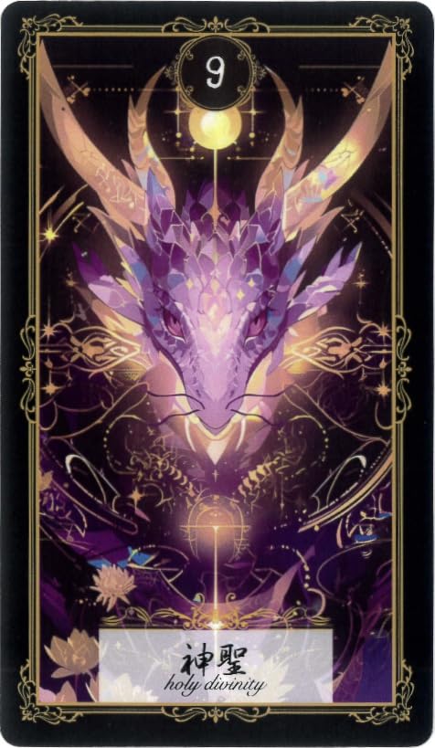 Ryu Zine Premium Cards | Naomi Inaba | 22 Cards with Japanese Commentary and Special Drawstring Pouch [Authentic]