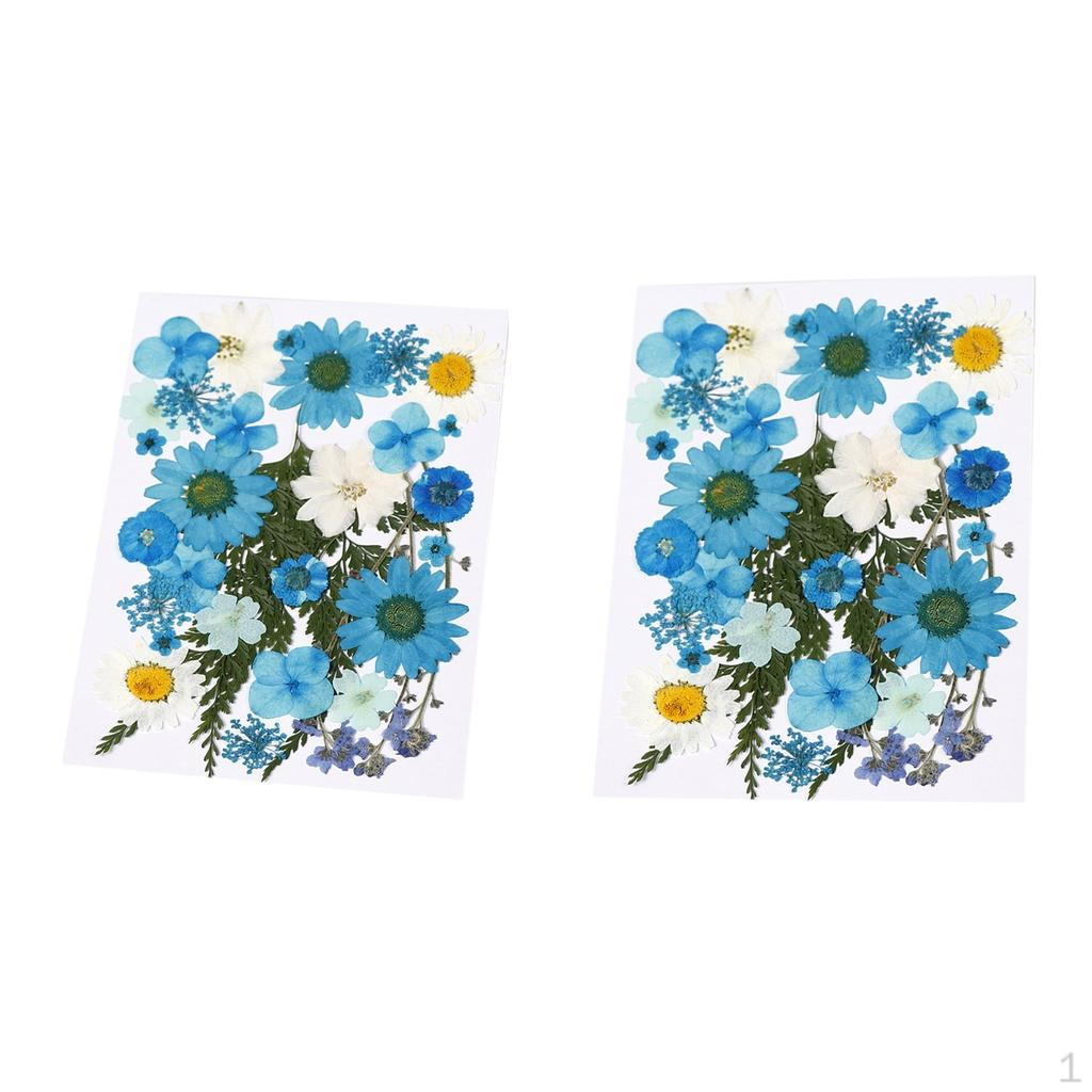 

Pack Of 2 Pressed Dried Leaves Decorative For Handicrafts DIY