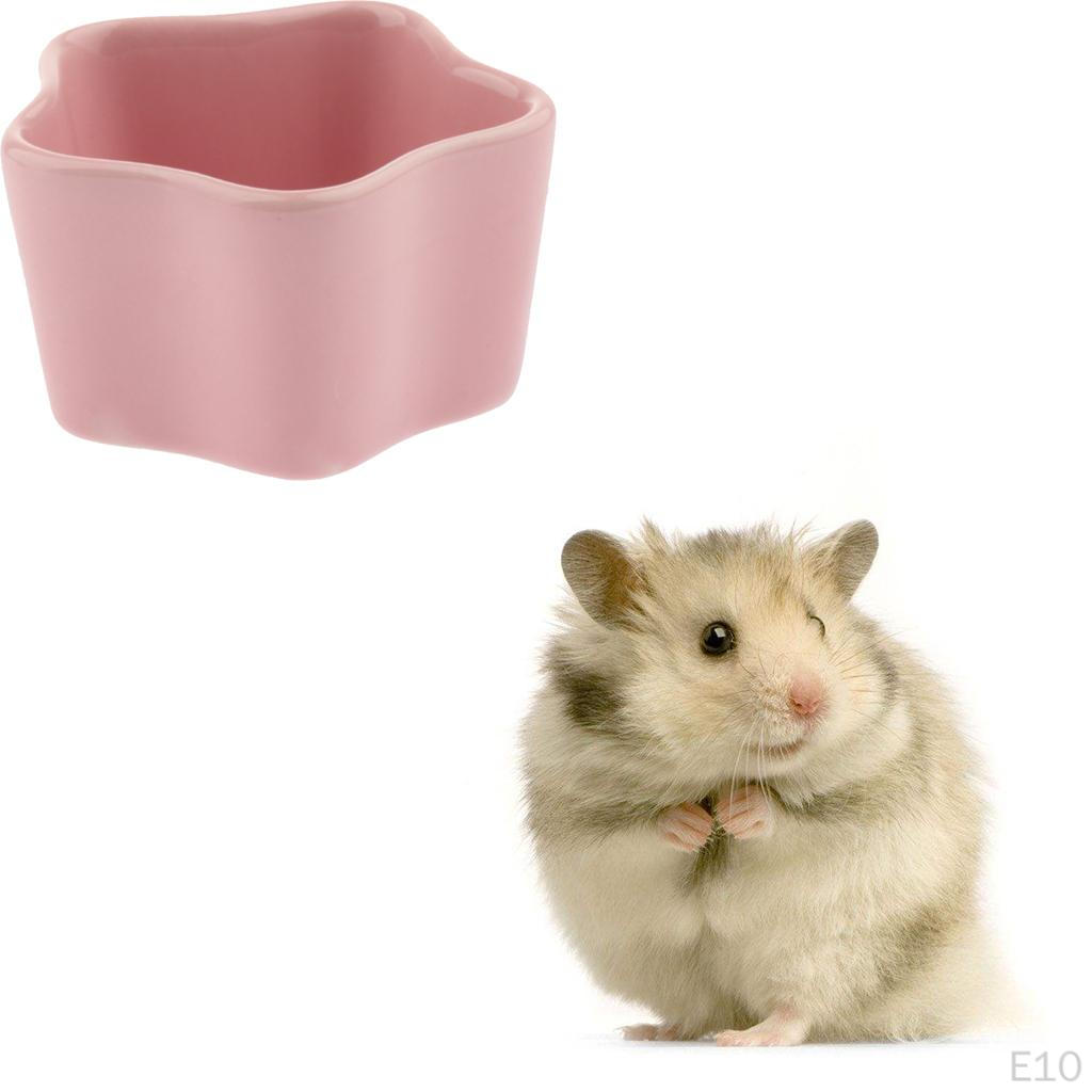 feeder and waterer, Ceramic Small Pets for Bird Guinea Hamster Chinchilla Ferret - Various Colors to