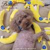 [LOVE PETS by BESTEVER] Love Pets by Bestever Pet Toy Banana 31623