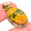 Naturalny Ocean Jasper Dwukolorowy wisiorek na prezent ze srebra próby 925 1,25" v3N49