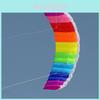 Vibrant Rainbow Dual Line Kitesurfing Stunt Parachute For Outdoor Fun And Adventure