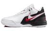 LeBron NXXT Gen "First Game" FJ1566-100