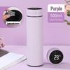 Chuang Qi Smart Display Portable Thermos