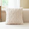 Modern Double-Sided Taffeta Plush Pillow Cover for Autumn/Winter - Sofa & Bedside Waist Support Cushion