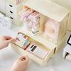 Storage Box Large Capacity Desktop Organizer with Divided Grid Design Container for Student Supplies Stationery Cosmetics