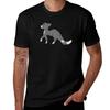 Cinderpelt Tshirt Antifade Casual Tee Shirt