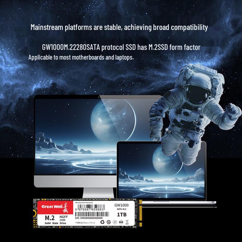 Great Wall GW1000 512GB M.2 SATA SSD