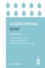 The Overcoming Grief 2nd Edition : A Self-Help Guide Using Cognitive Behavioural Techniques Book