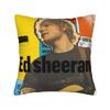 Decorative Pillow Covers Ed Sheeran Loop Tour 2026 Accessories Home  Pillow Case Cover Zipper Multi Size