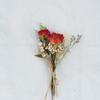 Classic Rustic Dried Flower Bundle Aesthetic Photography Props Minimalist Home Room Desk Vases Decor Accessories