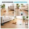 Interactive Cat Toy for Indoor Kittens & Adult with Adjustable Speed, DIY Track & Mouse Sound