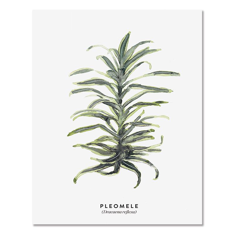 Severská zelená rastlina Listové plátno Plagáty Moderná nástenná maľba Plagát v črepníkoch Estetické obrazy do obývačky Home Decor