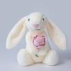 New Christmas Tree, Carrots, Rabbits, Plush Toys, Gifts for Boys and Girls, Soothing Dolls.