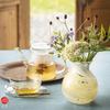 ADERIA Tsugaru Vidro Vase Fleur Hikari Pot Bouquet Beige Boîte Cosmétique Fabriqué au Japon Base Fleur Vase en Verre Élégant Vase Fleur Seule Récipient