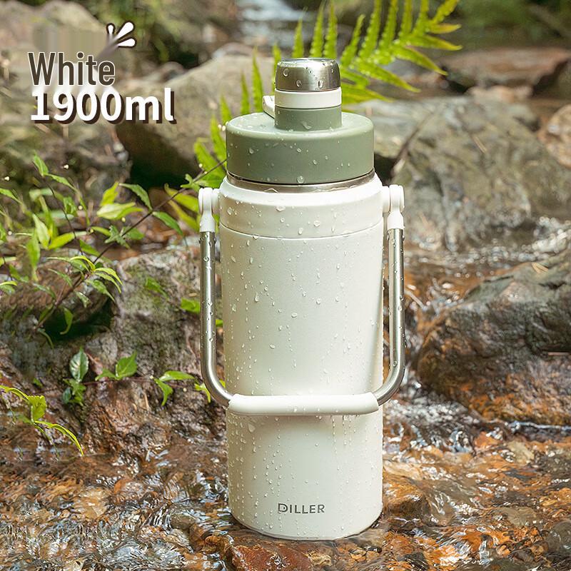 Diller 316 Stainless Steel Insulated Straw Bottle with Handle