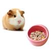 Hamster Ceramics Bowl Lovely Small Animal Ceramics Dish Pet Food Bowls
