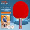 DOUBLE FISH 1-Star Beginner Shakehand Table Tennis Bat Set