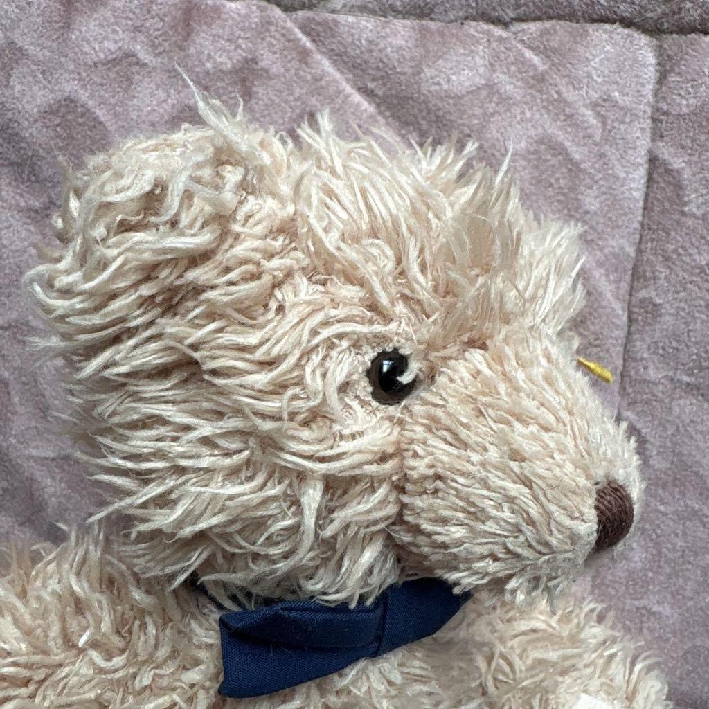 [USED] Steiff Teddy Bear