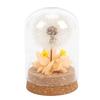 Real Dandelion Eternal Flower Natural Elegant Preserved Flower In Glass Dome for Bedroom Living Room Office