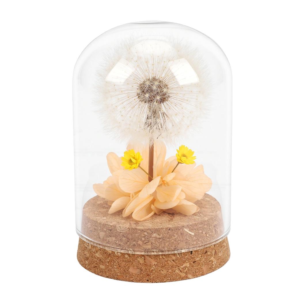 Real Dandelion Eternal Flower Natural Elegant Preserved Flower In Glass Dome for Bedroom Living Room Office