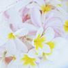 ArtDeli Plant and Flower Fabric Art Panel, 57 X 57 Cm