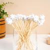 Custom Disposable Bamboo Fruit Skewers - Creative Dessert Art