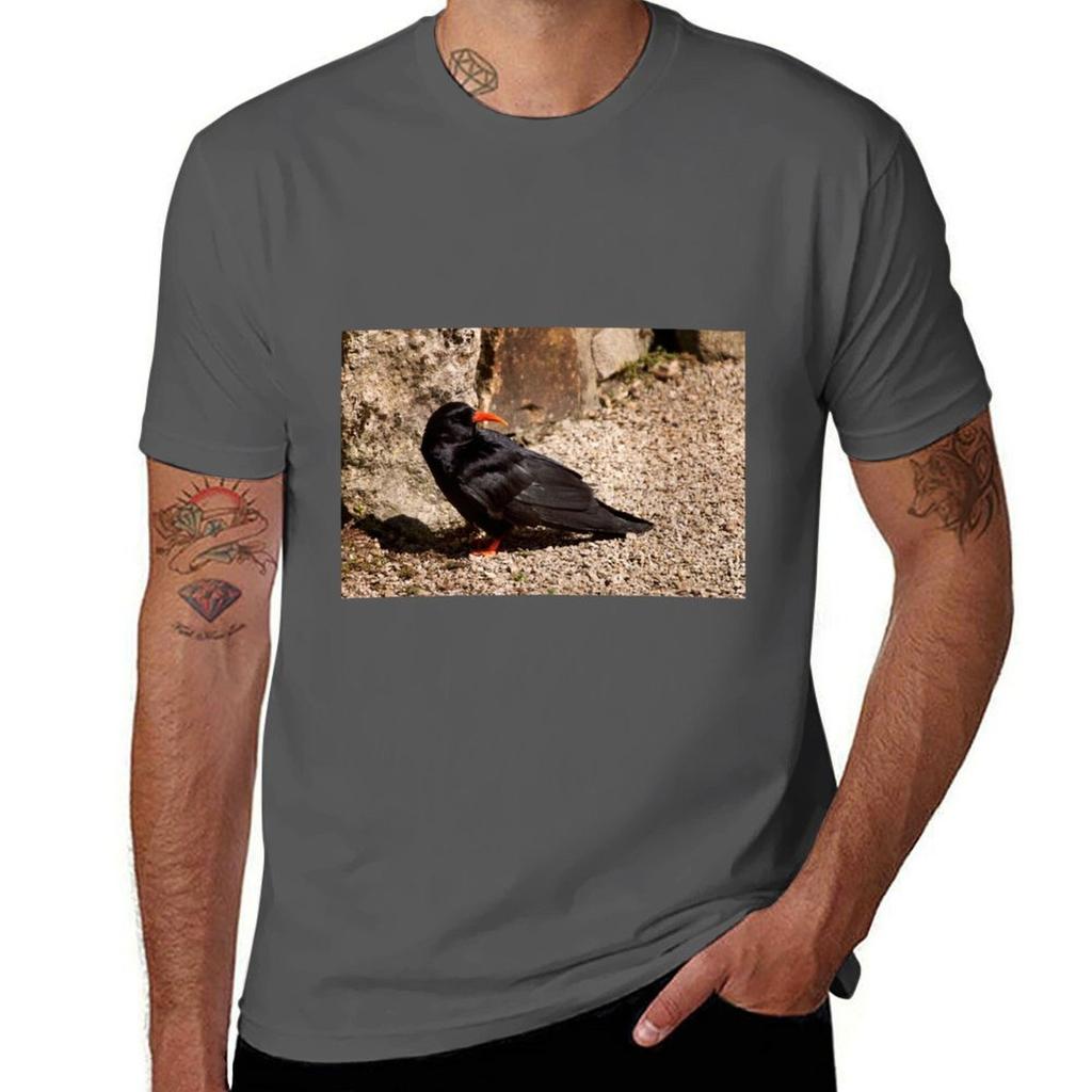 Kornische Dohle T-Shirt Neuheit Grafik T-Shirt