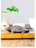 Handmade Retro Chinese Divine Turtle Ornament for Home or Office Decor