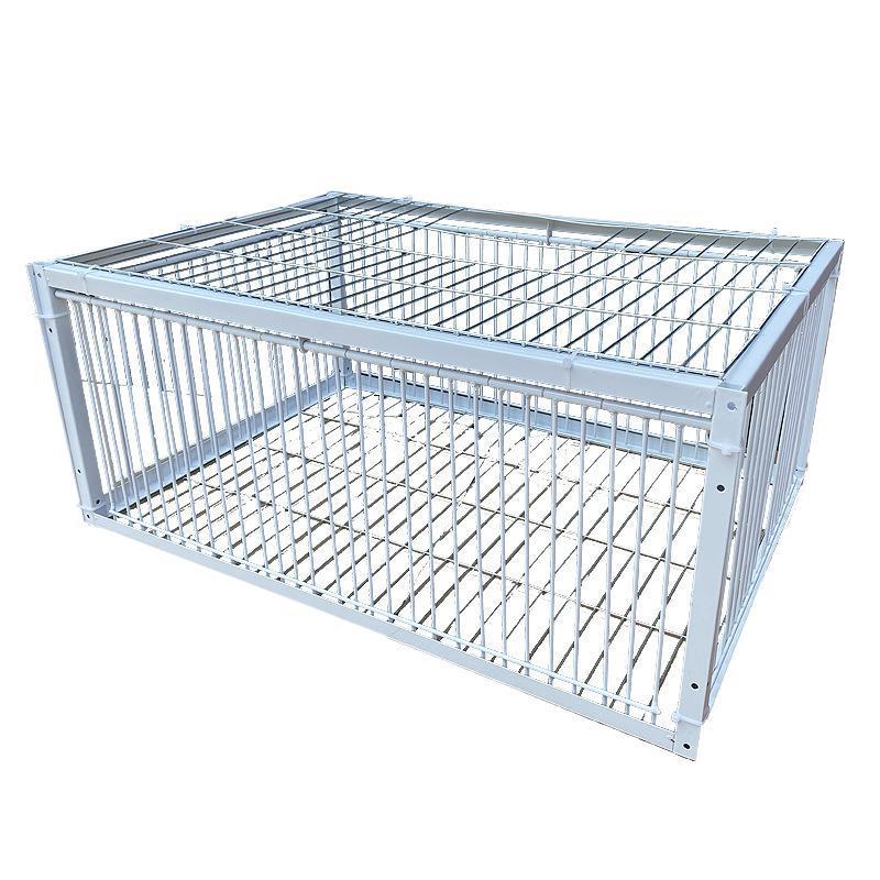 Pigeon Supplies: Thickened Encrypted Racing Homing Door