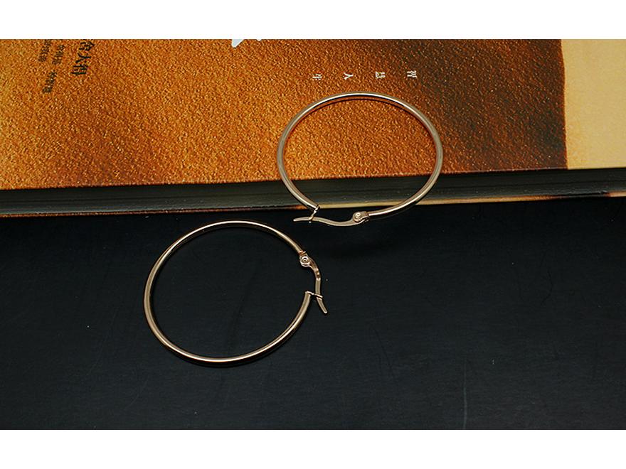 Classic 316L Stainless Steel Large Hoop Earrings: Versatile Titanium Round Hoops for Women with European and American Style.