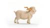 Schleich Farm World Angora Goat 13970 (Male)