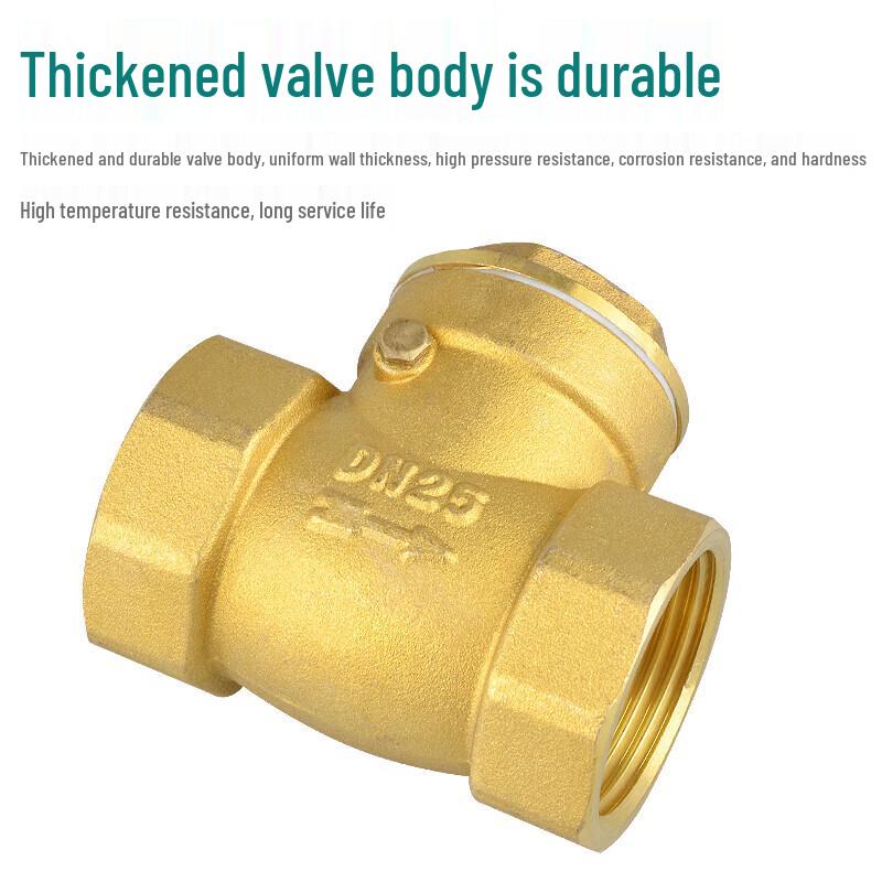 Lijiuho PE20 Copper Horizontal Check Valve
