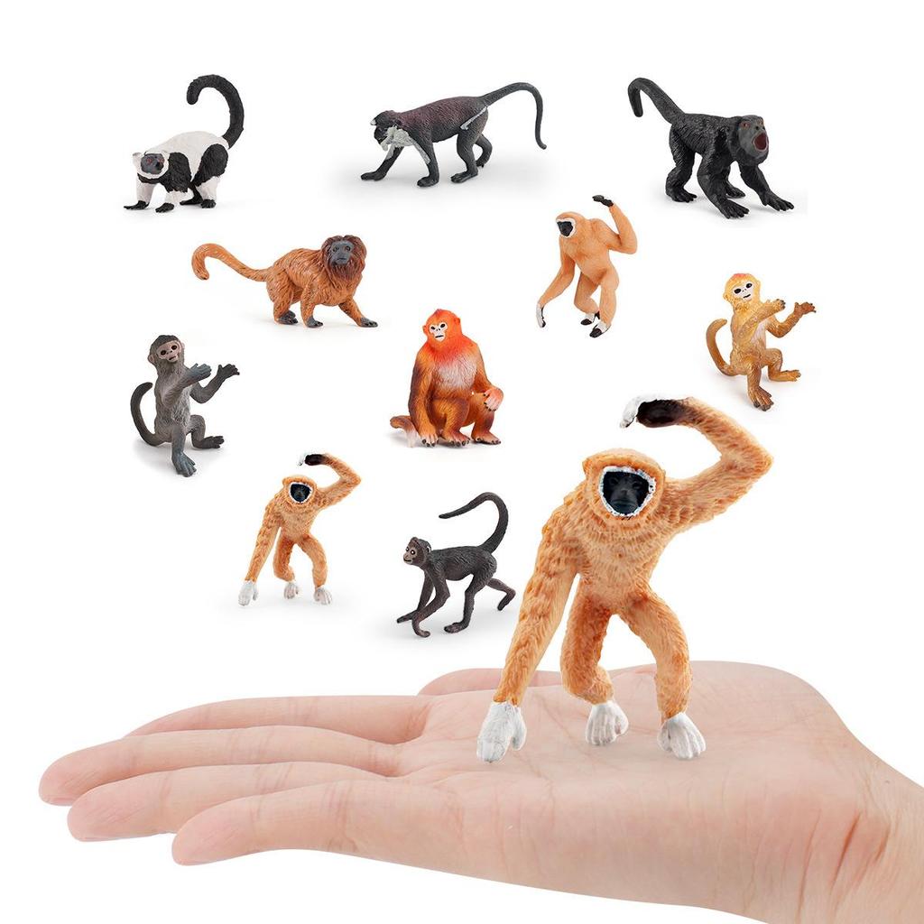 Exotic Primate Cognitive Simulation Animal Model