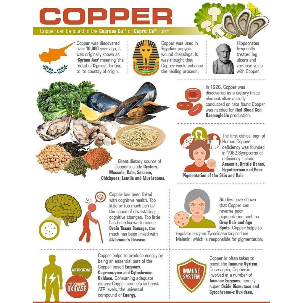 1,6 L Kupfer, Edelstahl Wasserkrug