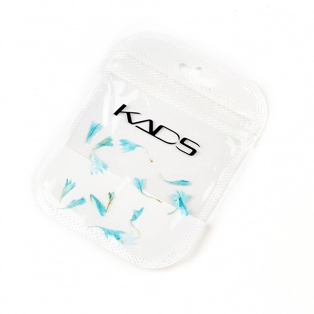 

KADS 10 шт./пакет 3D сушеные цветы украшения для дизайна ногтей натуральный василек цветочные наклейки подвески дизайн DIY маникюр аксессуары для ногтей