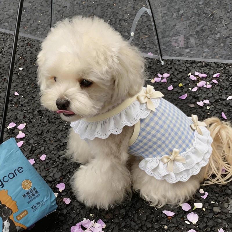 Cute Princess Style Dog Vest Dress With Bow Lace Trim Anti-Shedding Pet Apparel Small To Large Breeds