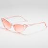 Cat Eye Sunglasses Retro Small Frame Fashion Sun Glasses for Women UV Protection Stylish